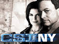 C.S.I. NEW YORK