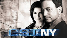 C.S.I. NEW YORK