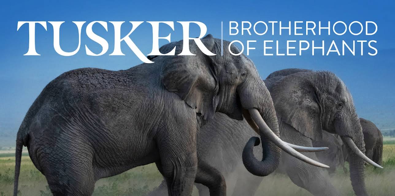 Tusker: Brotherhood of Elephants (2026)