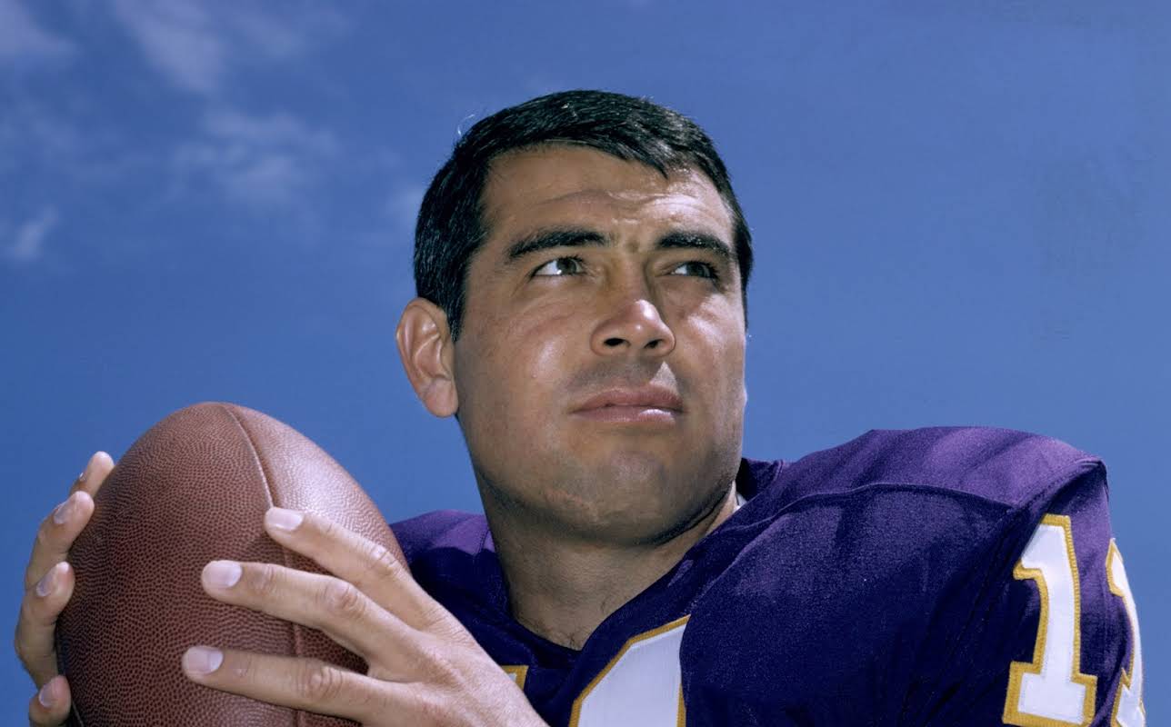 Joe Kapp