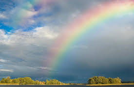 Understanding the Universe: An Introduction to Astronomy, 2nd Edition: The Rainbow Connection