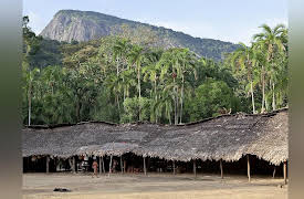 Brazil with Michael Palin: Into Amazonia