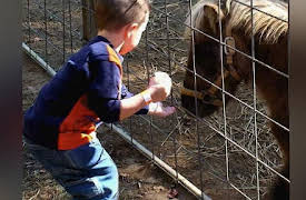 Kids' Planet: Love, protect and care for our planet earth