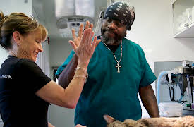 Guardians Of Rescue: Episode 1