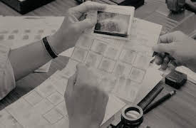 Acosador nocturno: A la caza de un asesino en serie: A la caza del hombre