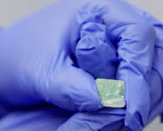 Border Patrol Australia