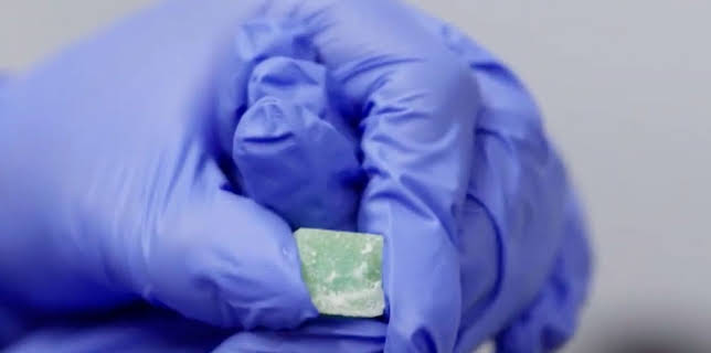 12:45: Border Patrol Australia | ProSieben Maxx | 12/3 2025