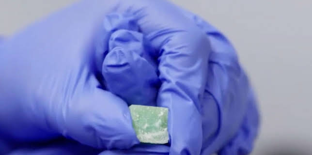 Border Patrol Australia