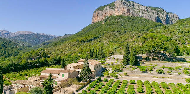 15:00: Auf Entdeckungsreise mit Karl Ploberger - Traumgärten auf Mallorca | 3SAT | 1/31 2026