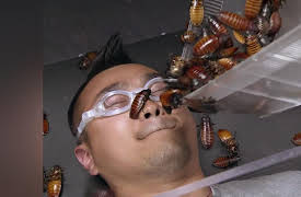 Mythbusters: The Search: Return of the Spy Car