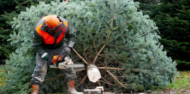 11:30: Die Nordreportage | NDR Fernsehen | 12/2 2025