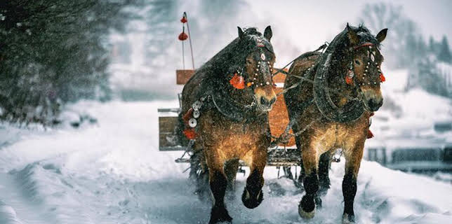 15:00: Lust auf Schnee | HR Fernsehen | 12/26 2025