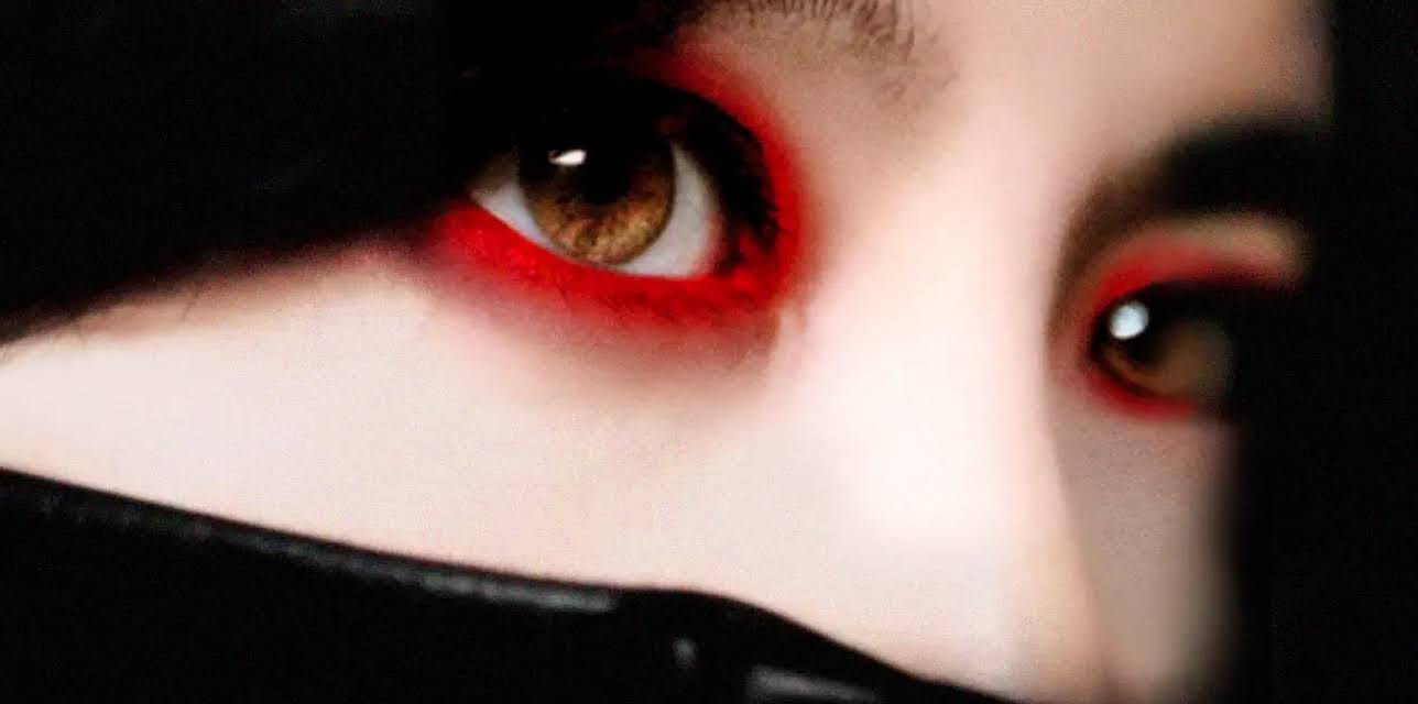 Lady Vengeance (2006)