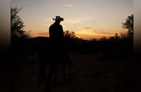 Holy Water: Bacanora - The Forbidden Elixir