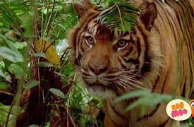 Lost!: Flash And The Fear of Heights