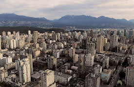 Dog Dudes: Human Herder