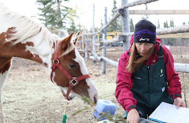 Dr. Oakley: Veterinären i Yukon: Episode 2