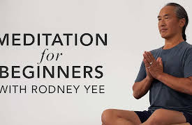 Meditation for Beginners: Find Your Seat
