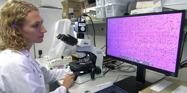 16:45: Neue Waffen gegen Krebs - Therapieverstärkung bei Tumorerkrankungen | ARD Alpha | 2/5 2026