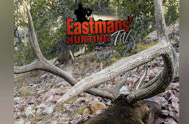 Eastmans' Hunting TV: Colorado Elk Hunting with Eastmans' 2011 Hunt Winner, Part 1