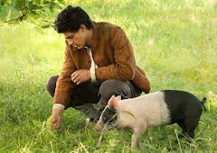 Der Schweinehirt