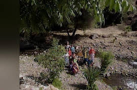 Kidsongs Season 1: If We Could Talk to the Animals