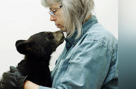 Wild Bear Rescue: A Cub With A Kick