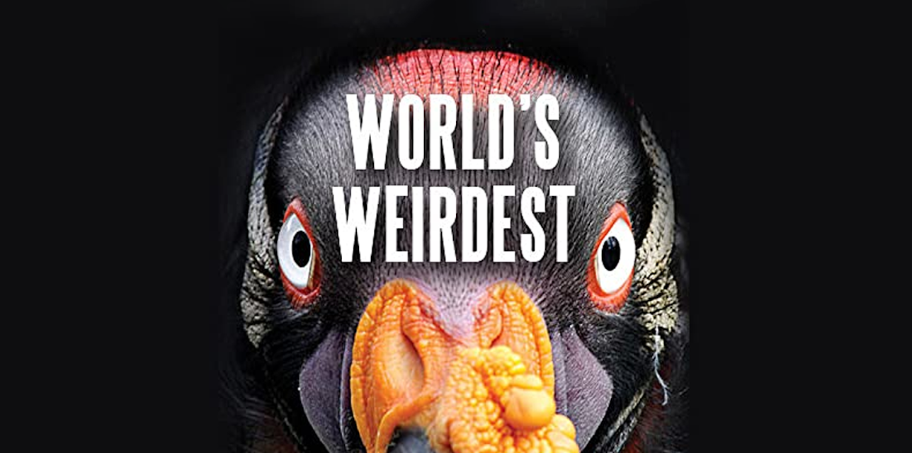 World's Weirdest Season 1