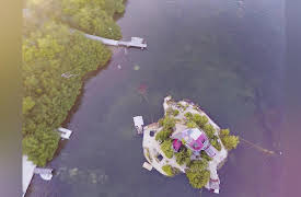 Life's a Beach, Season 1: Music by the Sea