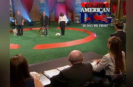 Greatest American Dog Season 1: And The Greatest American Dog Is?