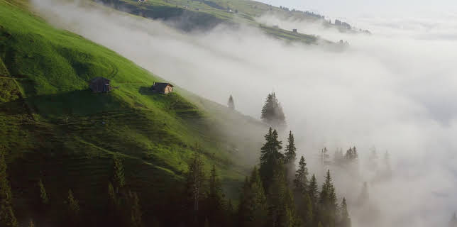 15:00: Wilde Schweiz II: Naturpark Beverin | 3SAT | 12/4 2025