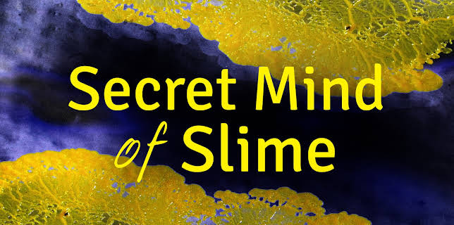 Secret Mind of Slime (1974)