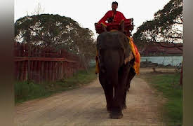 Human Nature: Patience, Respect and Kindness