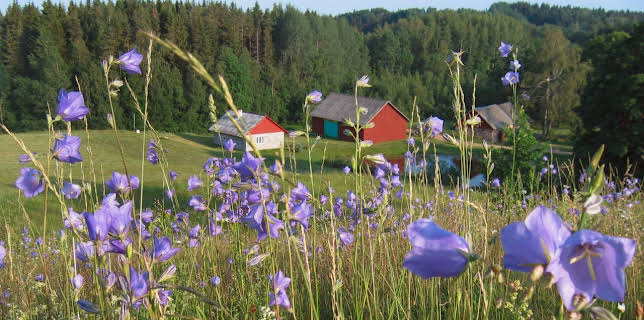 09:55: Abenteuer Wildnis | BR Fernsehen | 11/15 2025