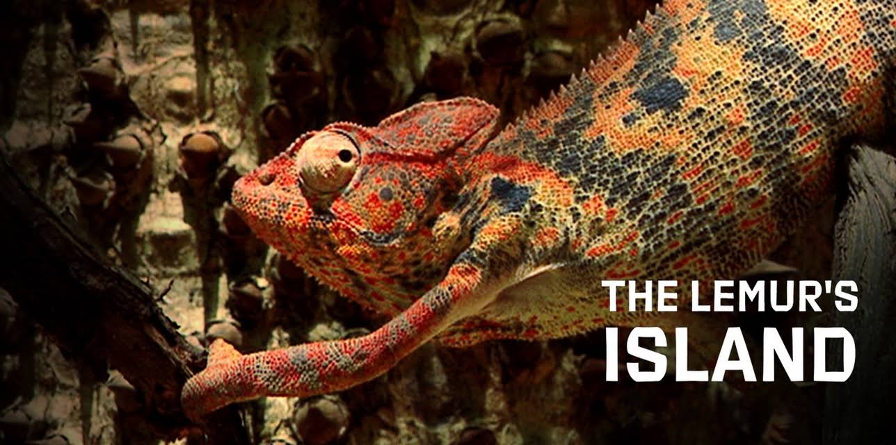 The Lemur's Island (2015)