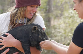 Homestead Rescue: Episode 4