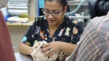 09:30: Dr. Jeff: Rocky Mountain Vet (S2 E11) (S2) | Animal Planet | 12/30 2025