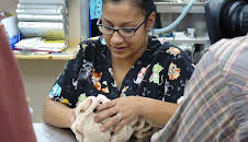 Dyrlegen i Rocky Mountain (S2 E11)