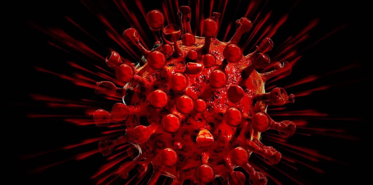 Top Science Stories of 2020 (2020)