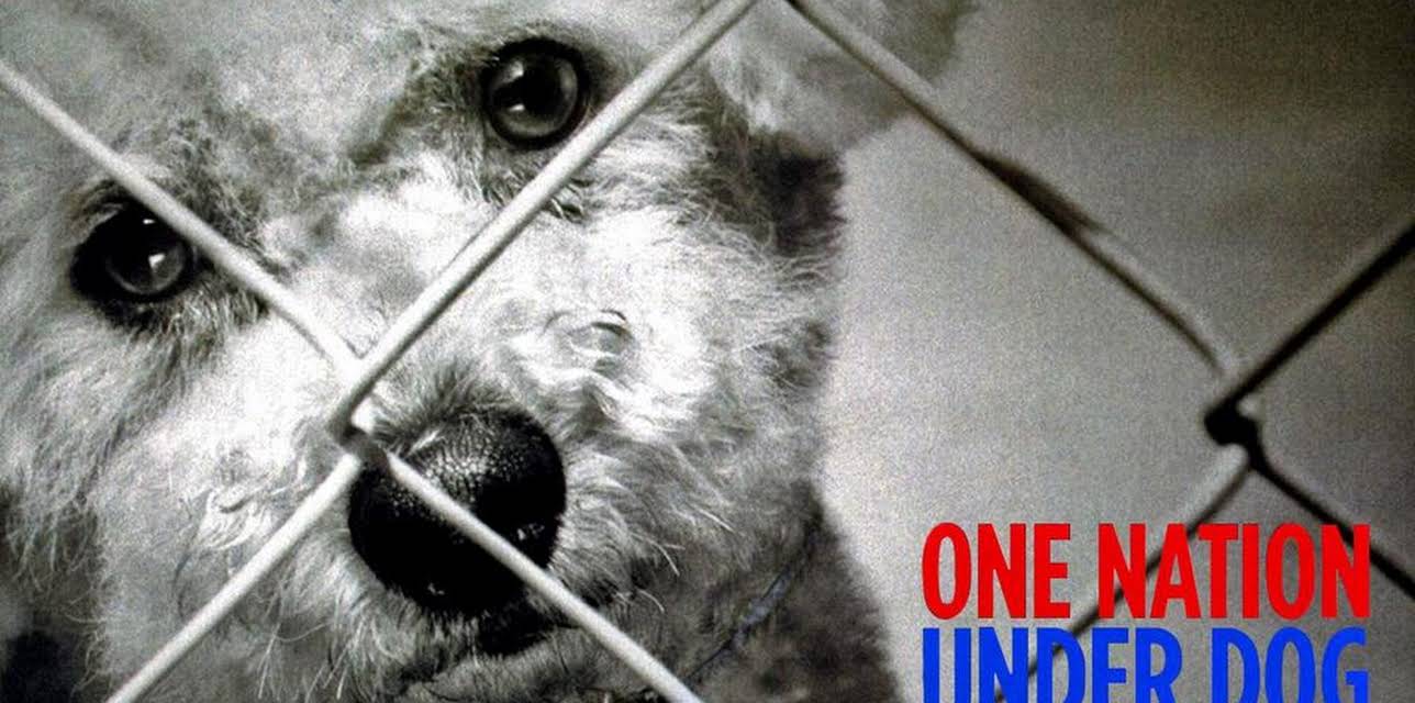 One Nation Under Dog: Stories of Fear, Loss & Betrayal (2012)