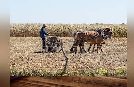 Liberty on Trial in America: Cases That Defined Freedom: Wisconsin v. Yoder