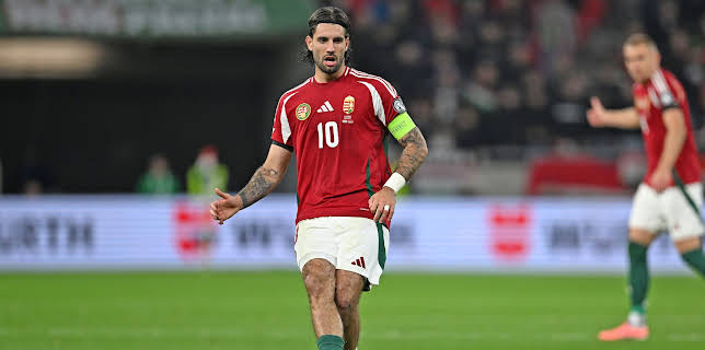 VM-kvalifisering UEFA: Ungarn - Irland