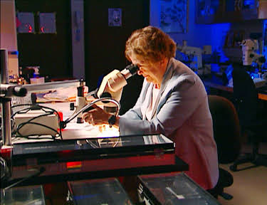 04:50: Medical Detectives - Geheimnisse der Gerichtsmedizin | VOX | 6/3 2026