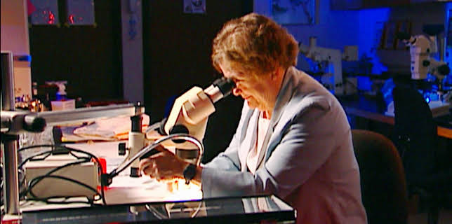 01:00: Medical Detectives - Geheimnisse der Gerichtsmedizin | VOX | 3/27 2026