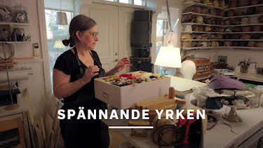 17:55: Spännande yrken | SVT2 | 6/29 2026