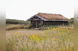 The American West: History, Myth, and Legacy: Homesteaders on the Plains