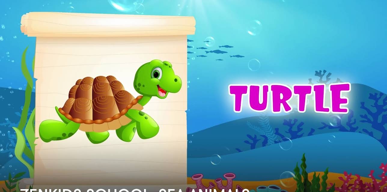 ZenKIDS School: Sea Animals (2023)