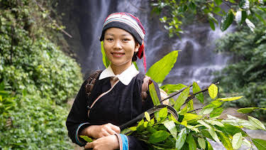 16:05: Entlang der Happiness Road – In den Bergen Vietnams | 3SAT | 7/31 2026