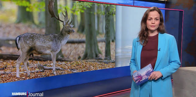 09:30: Hamburg Journal | Radio Bremen | 1/28 2026