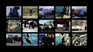 9:30 PM: Faodail: Found | BBC Alba | 12/31 2025